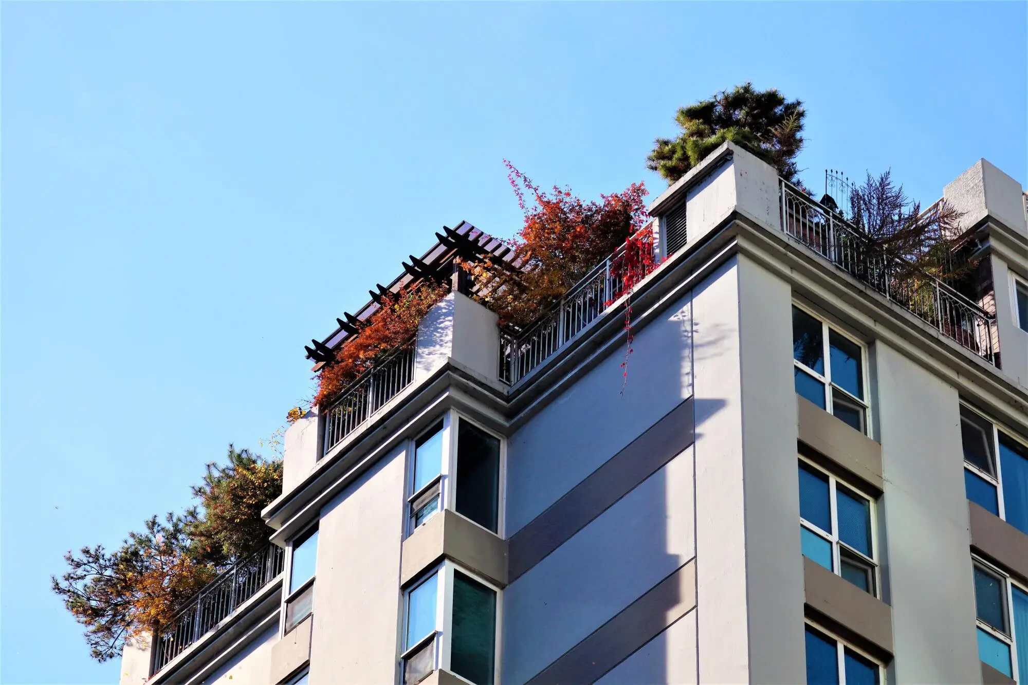 How to Run a Tenant Background Check in St. Louis, MO